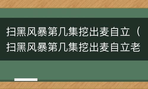 扫黑风暴第几集挖出麦自立（扫黑风暴第几集挖出麦自立老婆）