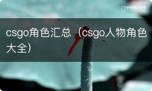 csgo角色汇总（csgo人物角色大全）