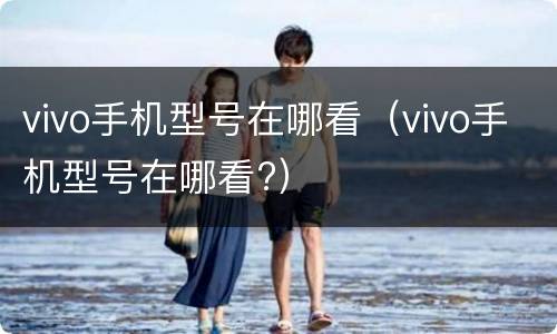 vivo手机型号在哪看（vivo手机型号在哪看?）