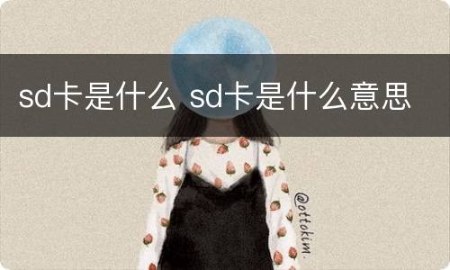 sd卡是什么 sd卡是什么意思