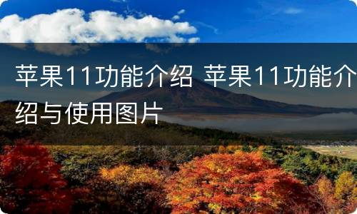 苹果11功能介绍 苹果11功能介绍与使用图片