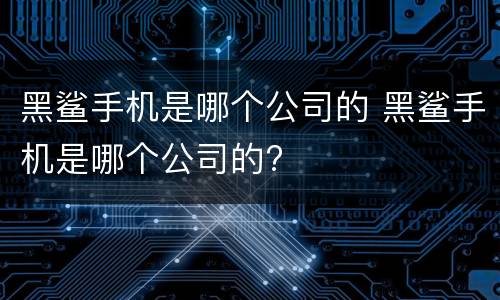 黑鲨手机是哪个公司的 黑鲨手机是哪个公司的?