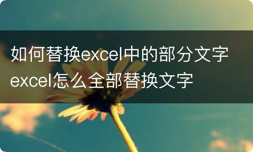 如何替换excel中的部分文字 excel怎么全部替换文字