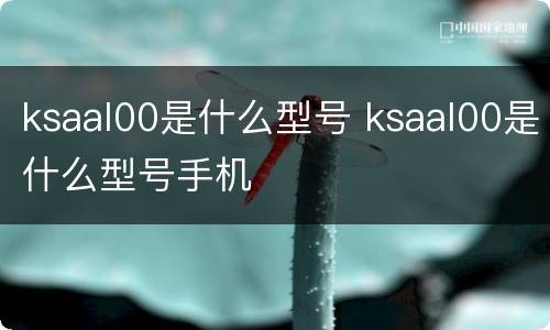 ksaal00是什么型号 ksaal00是什么型号手机