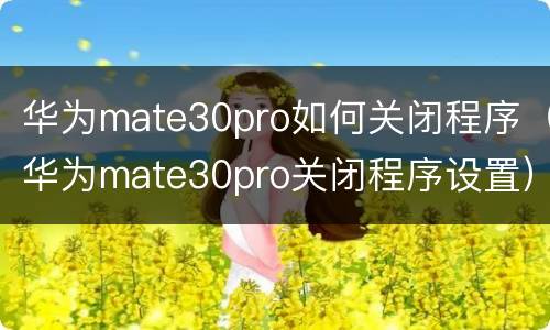 华为mate30pro如何关闭程序（华为mate30pro关闭程序设置）