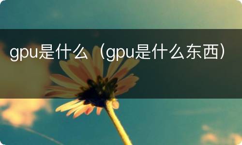 gpu是什么（gpu是什么东西）