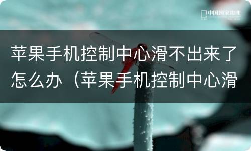 苹果手机控制中心滑不出来了怎么办（苹果手机控制中心滑不上来怎么办）