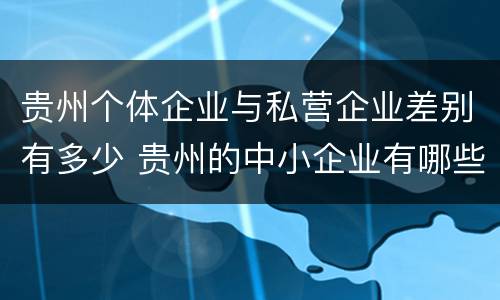 贵州个体企业与私营企业差别有多少 贵州的中小企业有哪些