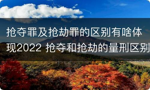 抢夺罪及抢劫罪的区别有啥体现2022 抢夺和抢劫的量刑区别