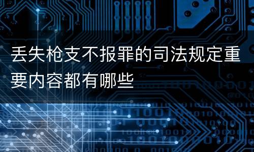 丢失枪支不报罪的司法规定重要内容都有哪些