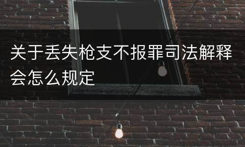 关于丢失枪支不报罪司法解释会怎么规定