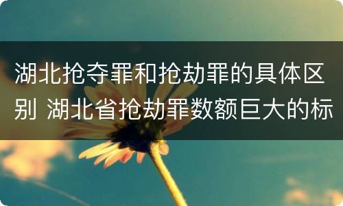 湖北抢夺罪和抢劫罪的具体区别 湖北省抢劫罪数额巨大的标准