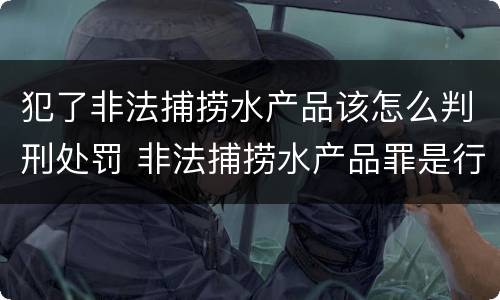 犯了非法捕捞水产品该怎么判刑处罚 非法捕捞水产品罪是行为犯吗