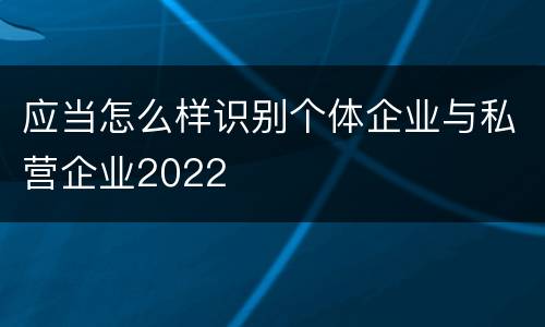 应当怎么样识别个体企业与私营企业2022