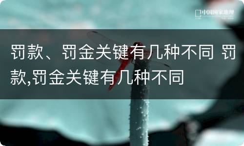 罚款、罚金关键有几种不同 罚款,罚金关键有几种不同