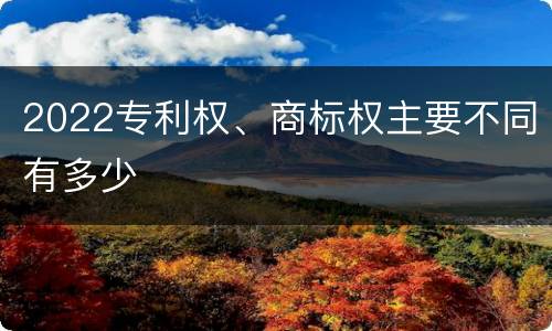 2022专利权、商标权主要不同有多少