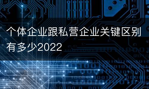 个体企业跟私营企业关键区别有多少2022