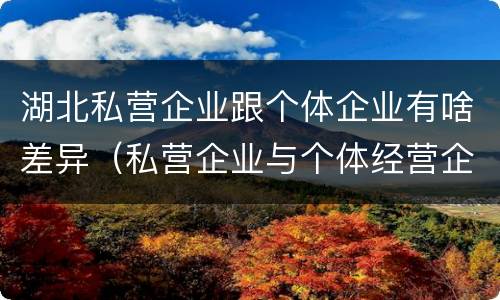 湖北私营企业跟个体企业有啥差异（私营企业与个体经营企业的区别）