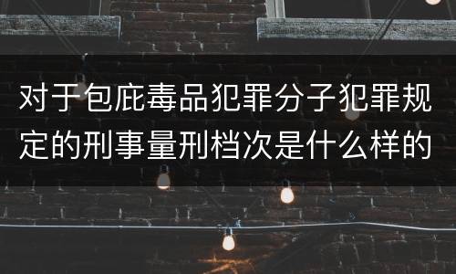 对于包庇毒品犯罪分子犯罪规定的刑事量刑档次是什么样的