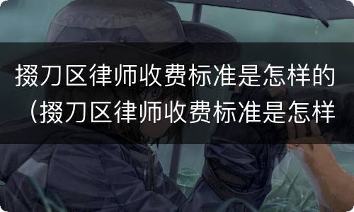 掇刀区律师收费标准是怎样的（掇刀区律师收费标准是怎样的呀）