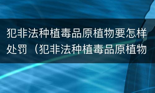 犯非法种植毒品原植物要怎样处罚（犯非法种植毒品原植物要怎样处罚呢）