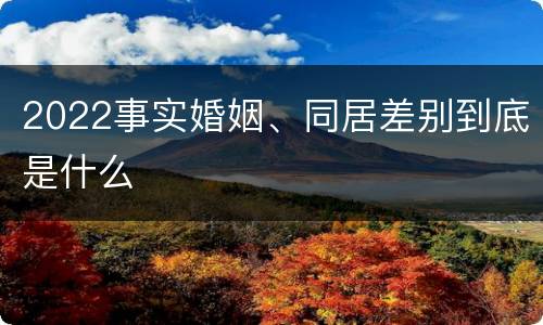 2022事实婚姻、同居差别到底是什么