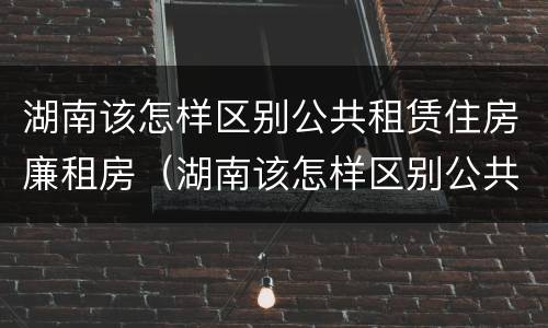 湖南该怎样区别公共租赁住房廉租房（湖南该怎样区别公共租赁住房廉租房和商品房）