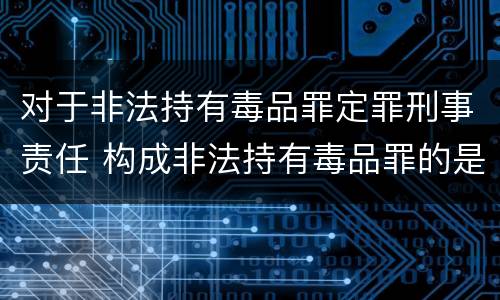 对于非法持有毒品罪定罪刑事责任 构成非法持有毒品罪的是