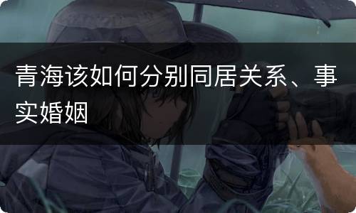 青海该如何分别同居关系、事实婚姻