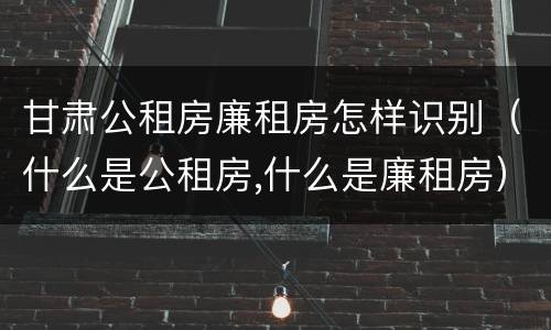 甘肃公租房廉租房怎样识别（什么是公租房,什么是廉租房）