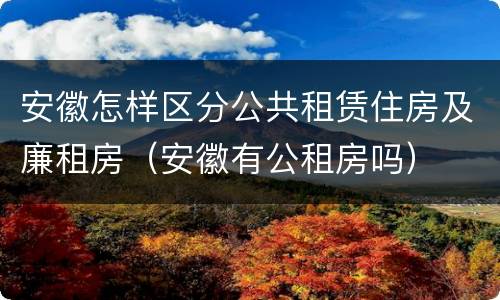 安徽怎样区分公共租赁住房及廉租房（安徽有公租房吗）