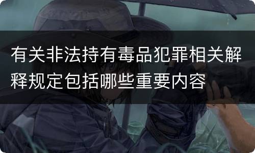 有关非法持有毒品犯罪相关解释规定包括哪些重要内容