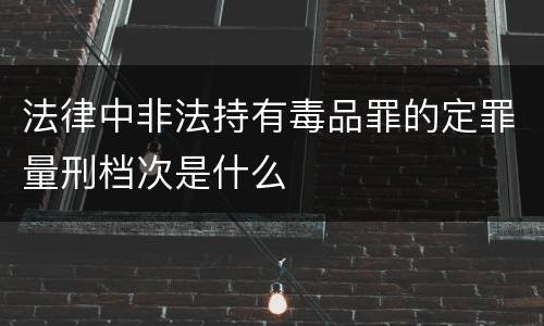 法律中非法持有毒品罪的定罪量刑档次是什么