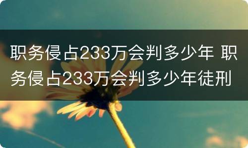 职务侵占233万会判多少年 职务侵占233万会判多少年徒刑