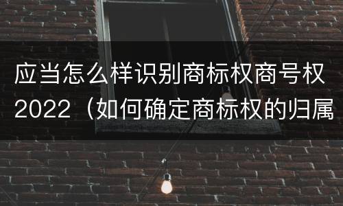 应当怎么样识别商标权商号权2022（如何确定商标权的归属）