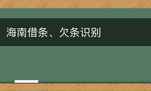 海南借条、欠条识别