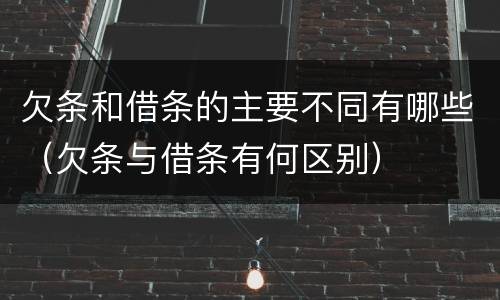 欠条和借条的主要不同有哪些（欠条与借条有何区别）