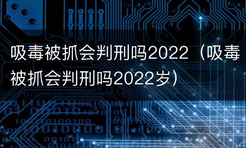 吸毒被抓会判刑吗2022（吸毒被抓会判刑吗2022岁）