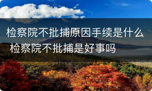 检察院不批捕原因手续是什么 检察院不批捕是好事吗