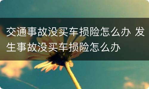 交通事故没买车损险怎么办 发生事故没买车损险怎么办